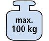 BADERde_AT1max_100kg_N_detail