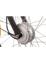 E-Bike Comfort Plus 5.0 von Saxonette 