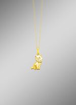 Anh&auml;nger mit Katze 