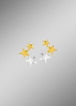 Attraktive Ohrstecker in Bicolor 