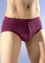 Schiesser Zweierpack Slips mit Streifendessin 2X BORDEAUX