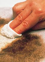 White Wizard Fleckenentferner, 2er-Set 