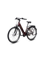 E-Bike Comfort Plus 5.0 von Saxonette 